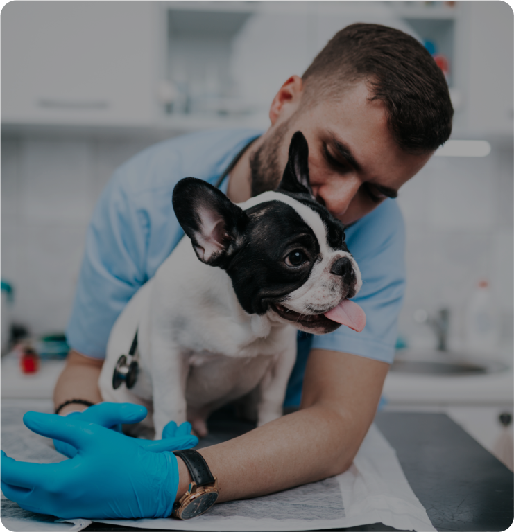 vet in  white coat with a labrador dog