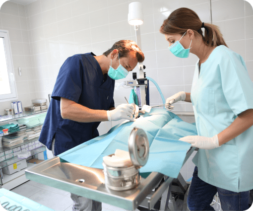 pet surgery image